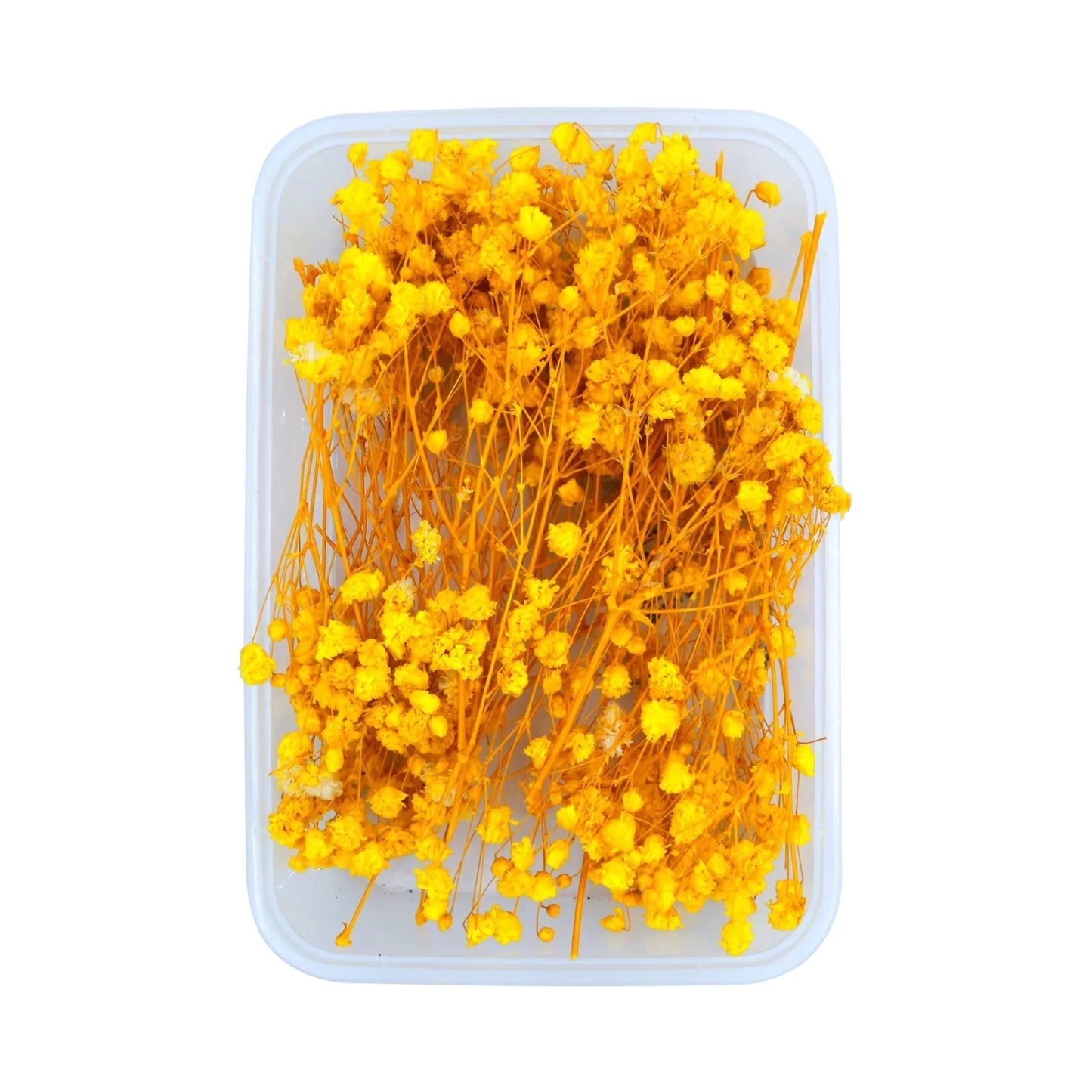 Yellow Baby's Breath Flowers (Naturally Preserved)