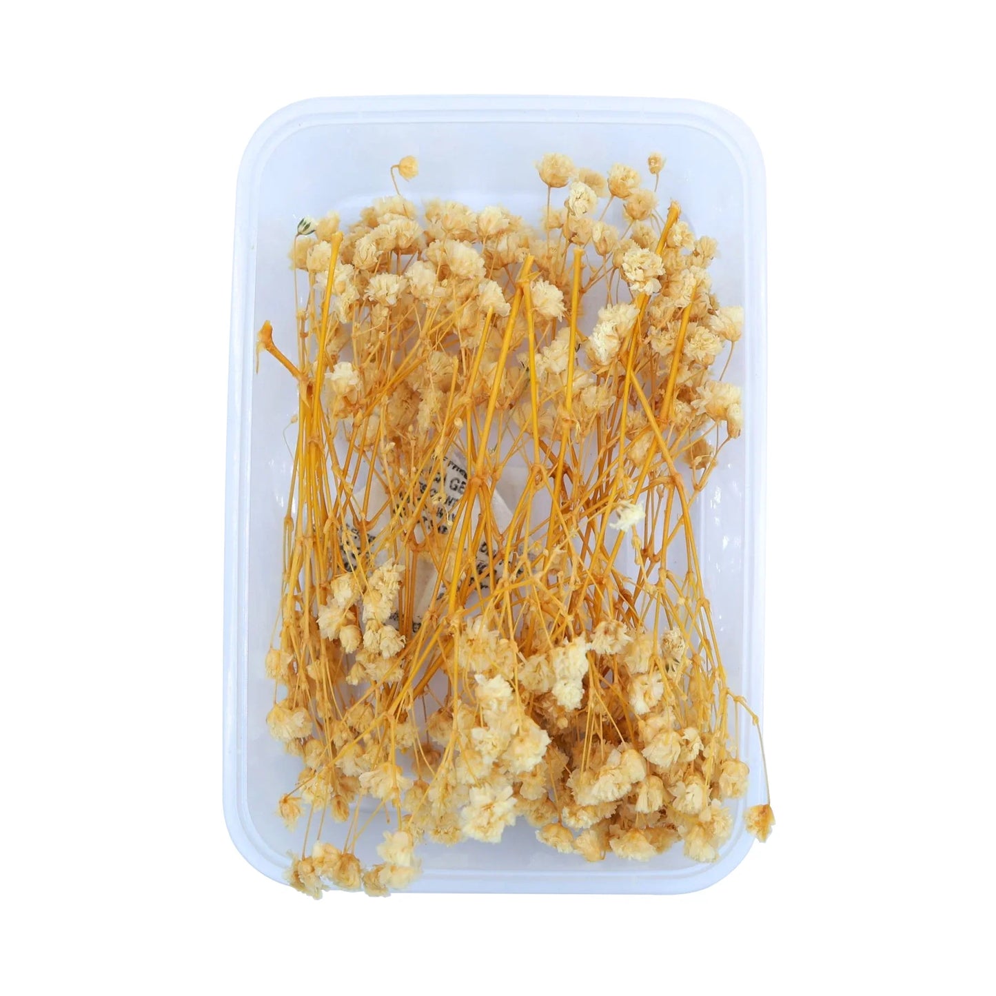 Off White Baby's Breath Flowers (Naturally Preserved)