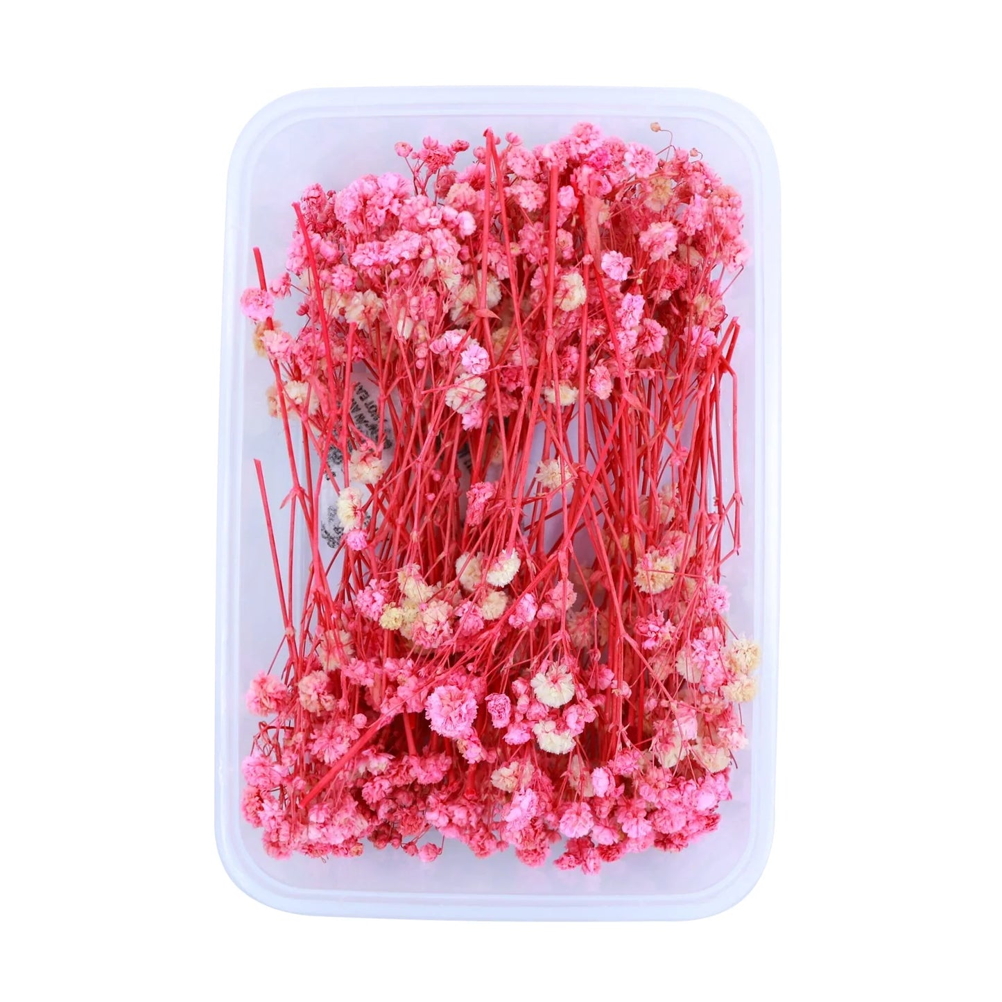 Pink Baby's Breath Flowers (Naturally Preserved)