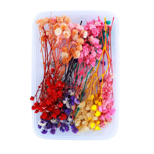 Assorted Color Baby's Breath Flowers (Naturally Preserved)