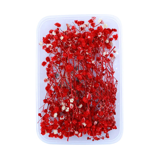 Red Baby's Breath Flowers (Naturally Preserved)