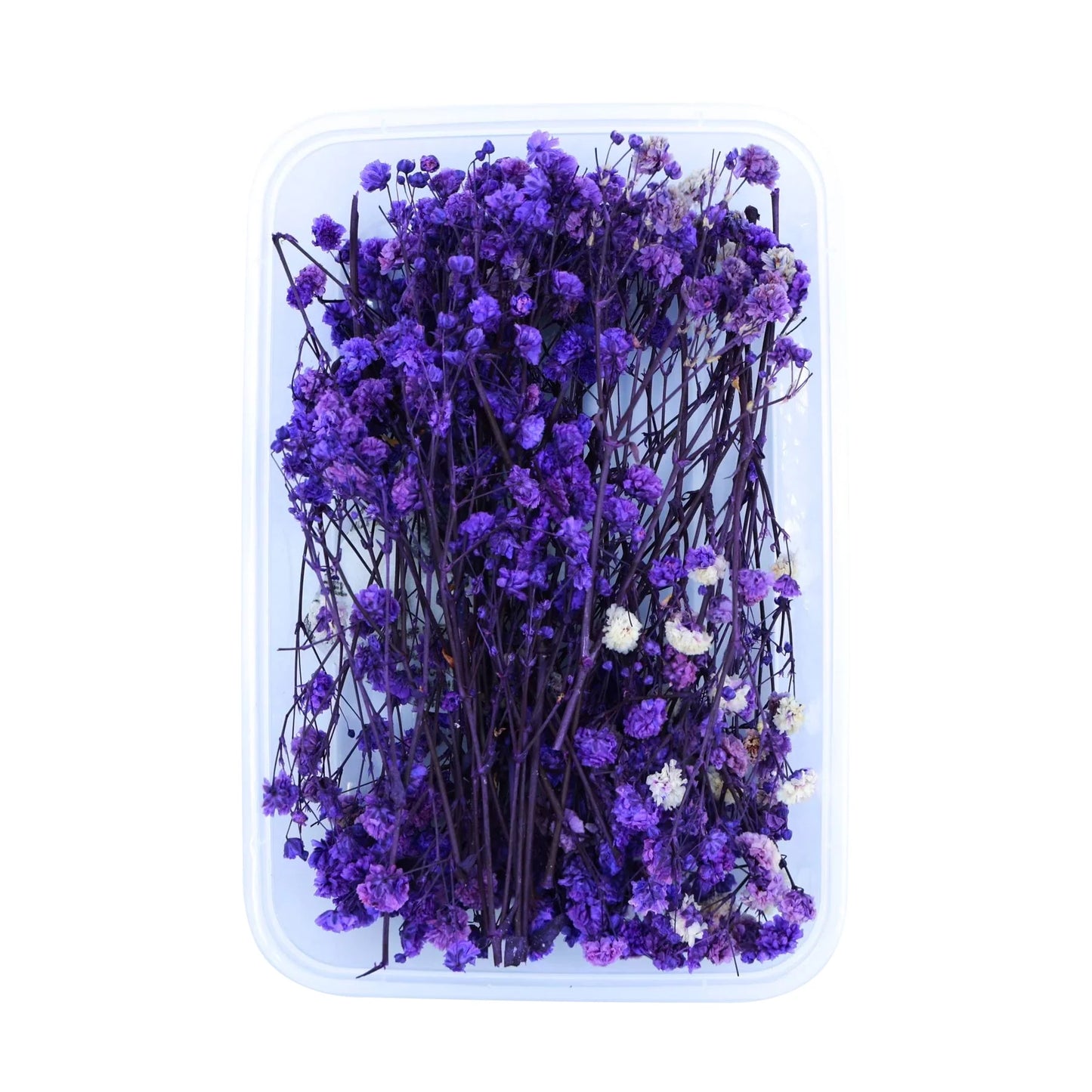 Purple Baby's Breath Flowers (Naturally Preserved)