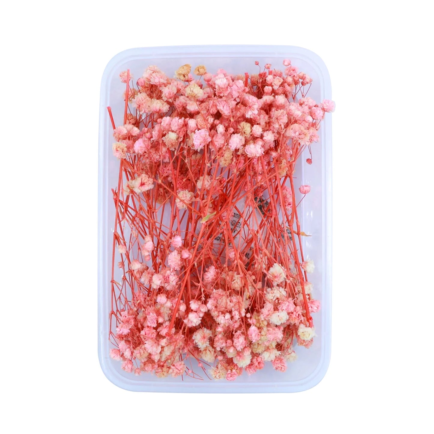 Peach Baby's Breath Flowers (Naturally Preserved)