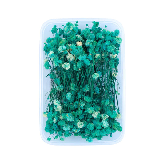 Green Baby's Breath Flowers (Naturally Preserved)