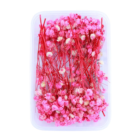 Rani Baby's Breath Flowers (Naturally Preserved)