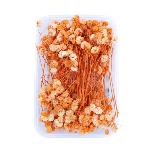 Orange Baby's Breath Flowers (Naturally Preserved)